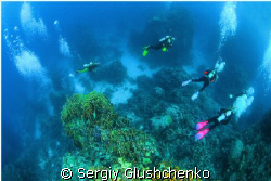 Dive site Malahi by Sergiy Glushchenko 